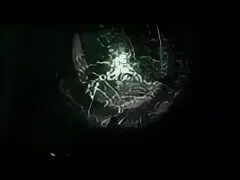 Страшный лес ночью настоящий. Нечто в лесу 2024. Аокигахара повешенные. Странные существа заснятые в лесу. Нечто в лесу 2024.