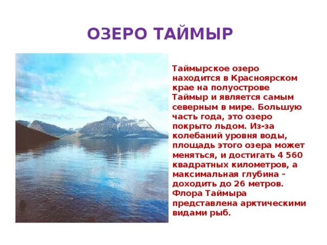 Байкуратурку озеро таймыр. Озеро таймыр какое. Озеро таймыр информация. Озеро таймыр. Озеро таймыр плато путорана.