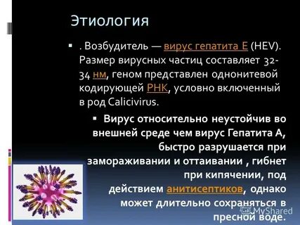 Вирусный возбудитель