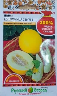 Дыня колхозница отзывы