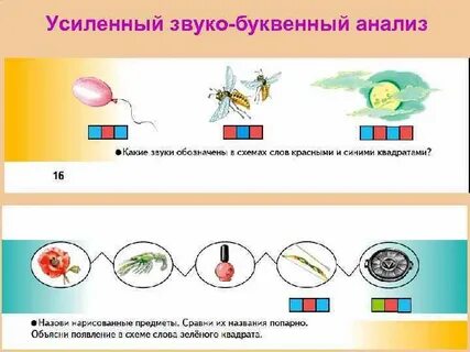 Звуко буквенный слова шмель