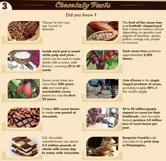 Am chocolate