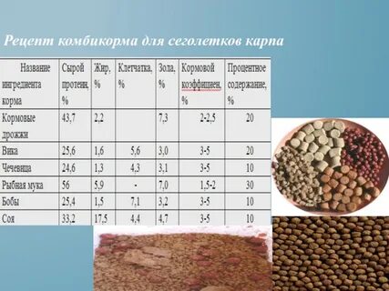 Комбикорм для карпа