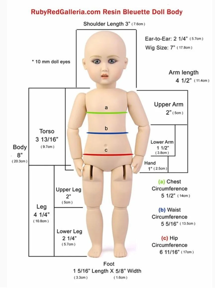 Размеры кукол. Соотношение частей тела куклы. Пропорции частей тела куклы. Кукла Размеры тела. Тело пупса