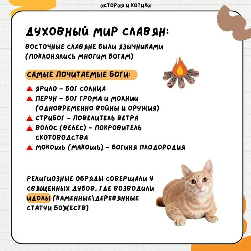 история котиков егэ. экзамены огэ и егэ 2023. история котиков егэ. котик егэ. история и котики егэ.