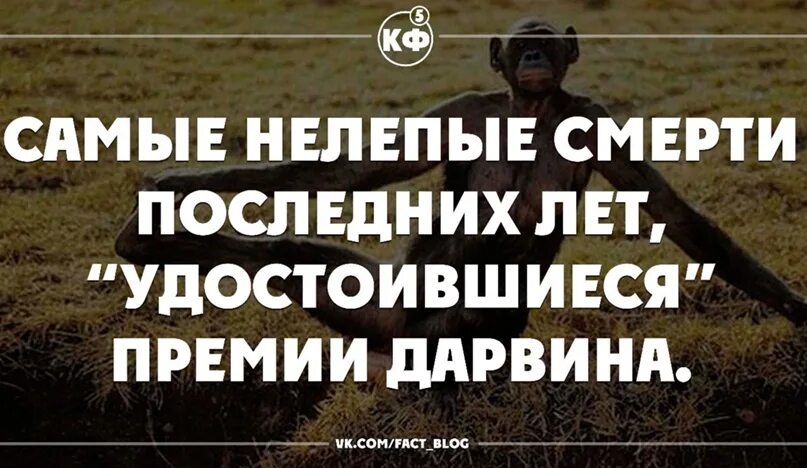 Нелепые смерти премия Дарвина. Премия Дарвина самые глупые смерти. Нелепые смерти в мире