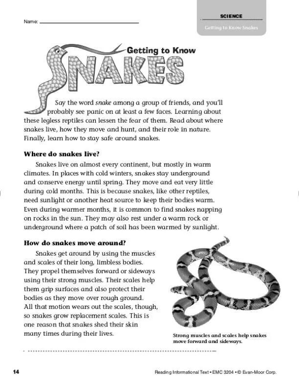 Text about the Snake. Poem about Snake. About Snakes for Kids. Snake text English for Kids.