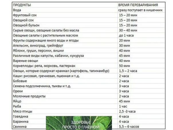 Сколько пища переваривается и выходит. Таблица переваривания продуктов. Таблица переваривания пищи. Время переваривания продуктов таблица. Таблица переваривания пищи в желудке.