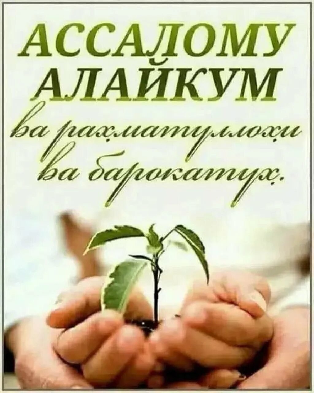 Асаляму алейкум варахматулляхи. Жума муборак. чумъа муборак. салам алейкум жума муборак. ваалейкум ассалам жума муборак.