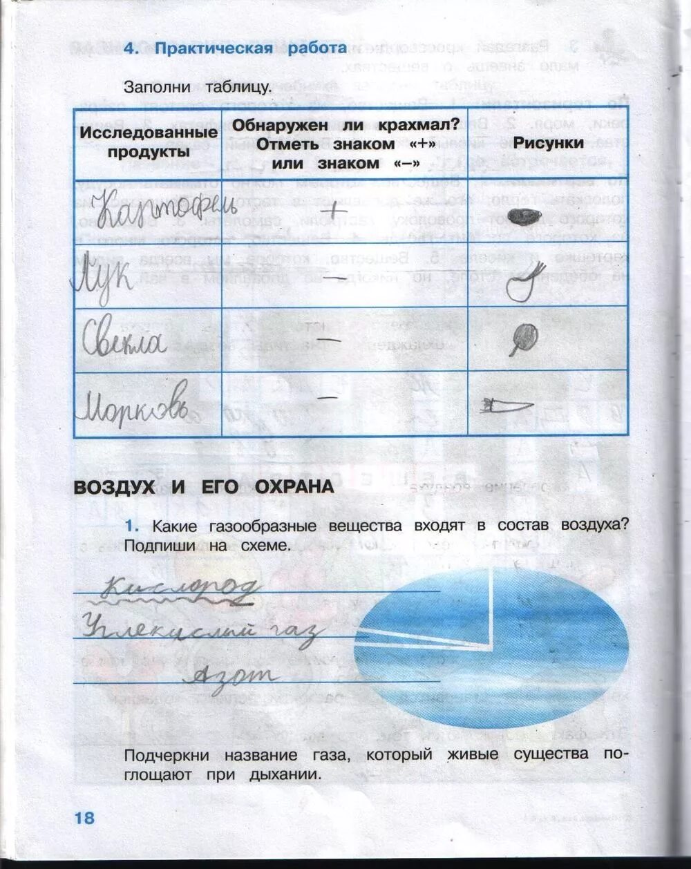 Окружающий мир стр 26 упр 2. Окружающий мир 3 класс 1 часть страница 26. гдз окружающий мир 3 класс рабочая тетрадь 1 часть плешаков стр 26. окружающий мир плешаков рабочая тетрадь с 3. окружающий мир рабочая тетрадь 3 класс 1 часть плешаков номер 2.
