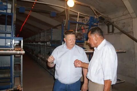 Дергачи саратовская область новости