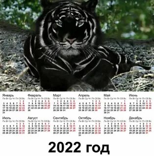 Какой зверь 2022