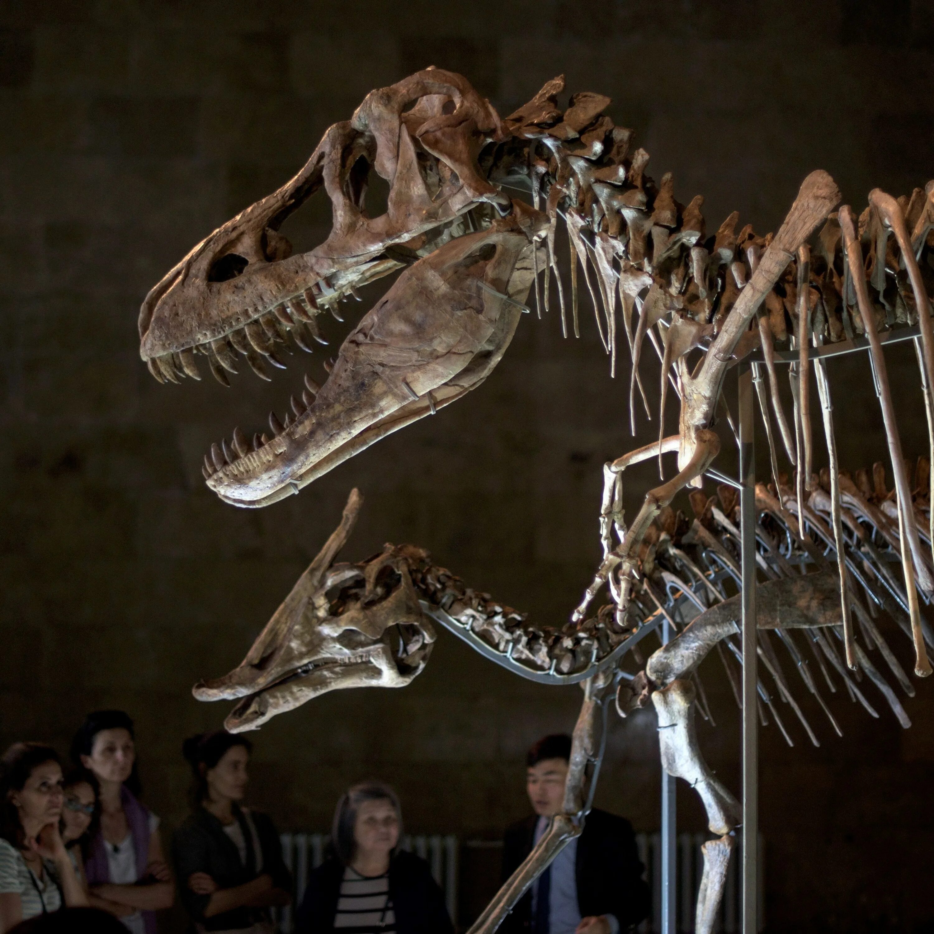 Что убило динозавров. Tarbosaurus BATAAR. Смерть динозавров. От чего вымерли динозавры.