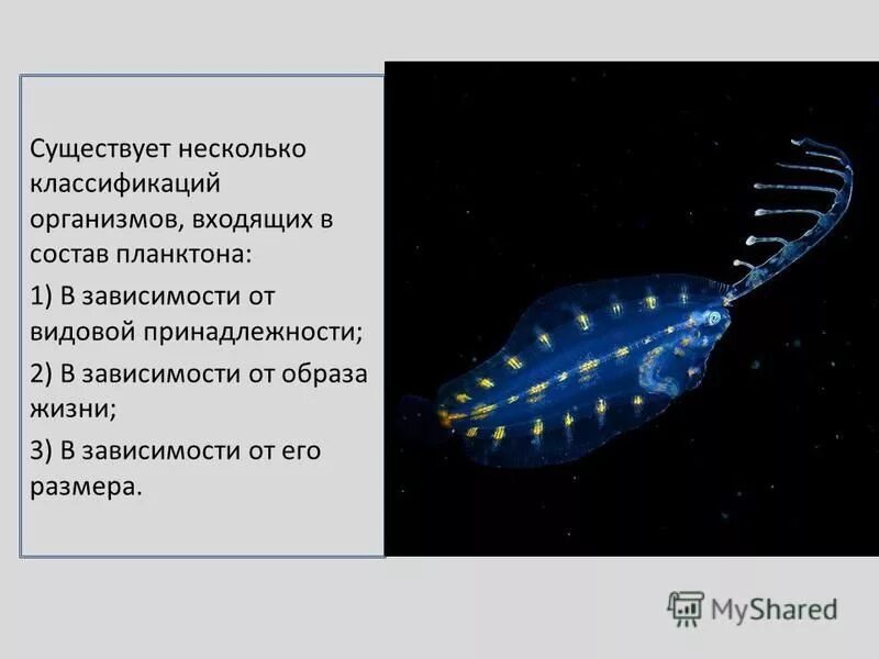 Учёные создали несколько классификаций религий самая простая из них. 1. Ученые создали несколько классификаций. Открытия по химии нобелевские премии. Ученые создали несколько классификаций.