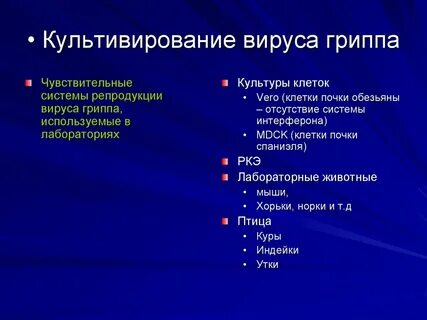 Культура вируса 5