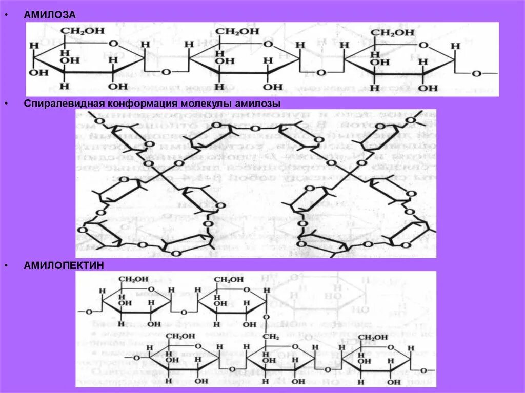 Конформация молекулы. Целлюлоза амилоза амилопектин декстран. Амилоза строение молекулы. Конформация амилозы. Конформация молекулы амилозы.