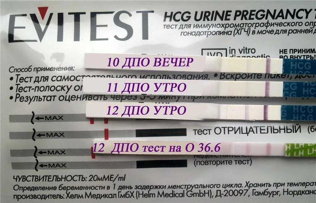 Через сколько можно узнать беременность после зачатия. Тест на беременность. тест на беременность до задержки. тест на беременность по дням задержки. тест на беременность по дням до задержки.