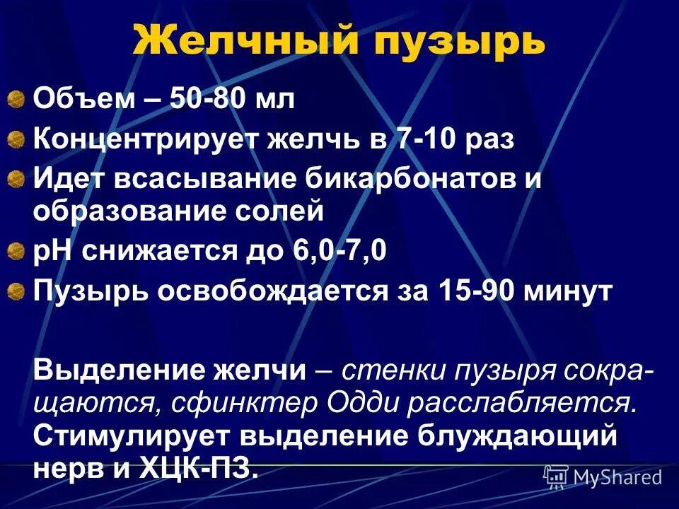 сколько желчи вырабатывается за сутки у человека
