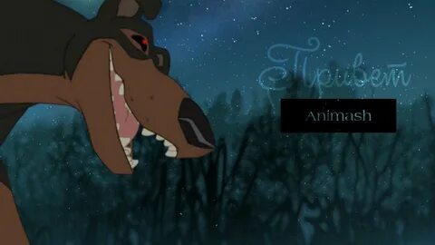 Animash