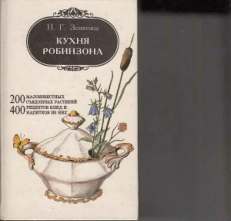 Кухня робинзона. Кухня Робинзона Замятина. Кухня Робинзона - Замятина н. г.. Книга кухня Робинзона.