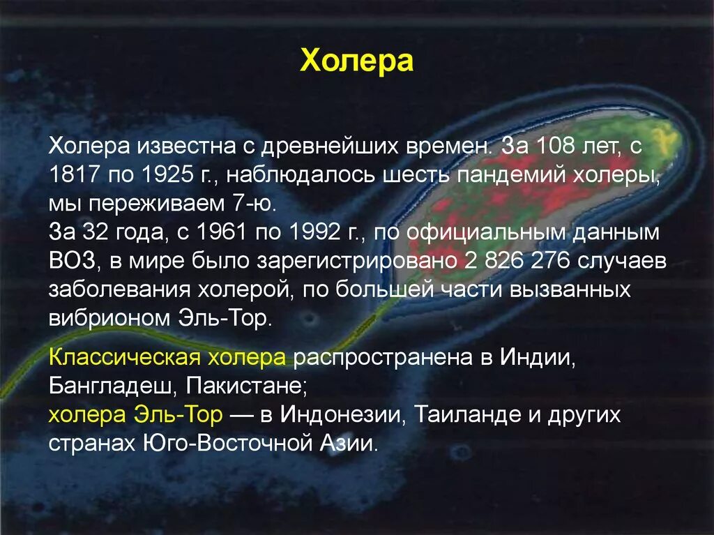 Факторы холеры. Холера презентация холера. Причины появления холеры. Холера презентация симптомы.