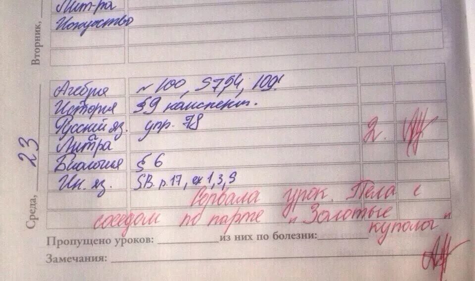 Замечание приняла. Ваши замечания приняты к сведению. Замечание или замечания. Ест на уроке замечание. Замечания исправлены.