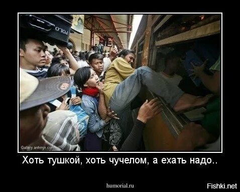 Кондуктор не спешит кондуктор понимает слушать. Кондуктор не спешит кондуктор. Кондуктор не спешит кондуктор понимает слушать. Смешной кондуктор. Мужчины кондукторы хороши в постели.