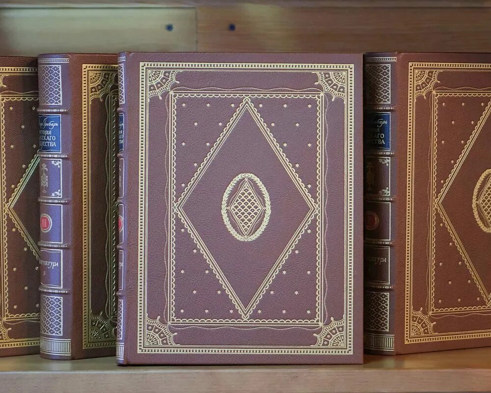 Книга в красивом переплете. Ротапринтное издание. Издательство молодая гвардия подарочное издание. П. Необычный переплет.