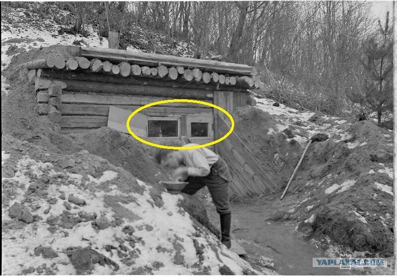 Читать мужья для землянки 2 полностью