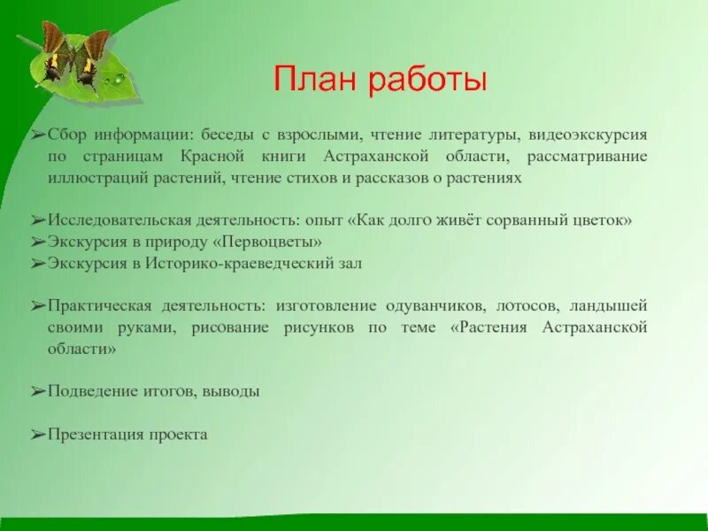 План рассказа о растении или животном. План рассказа о растении или животном