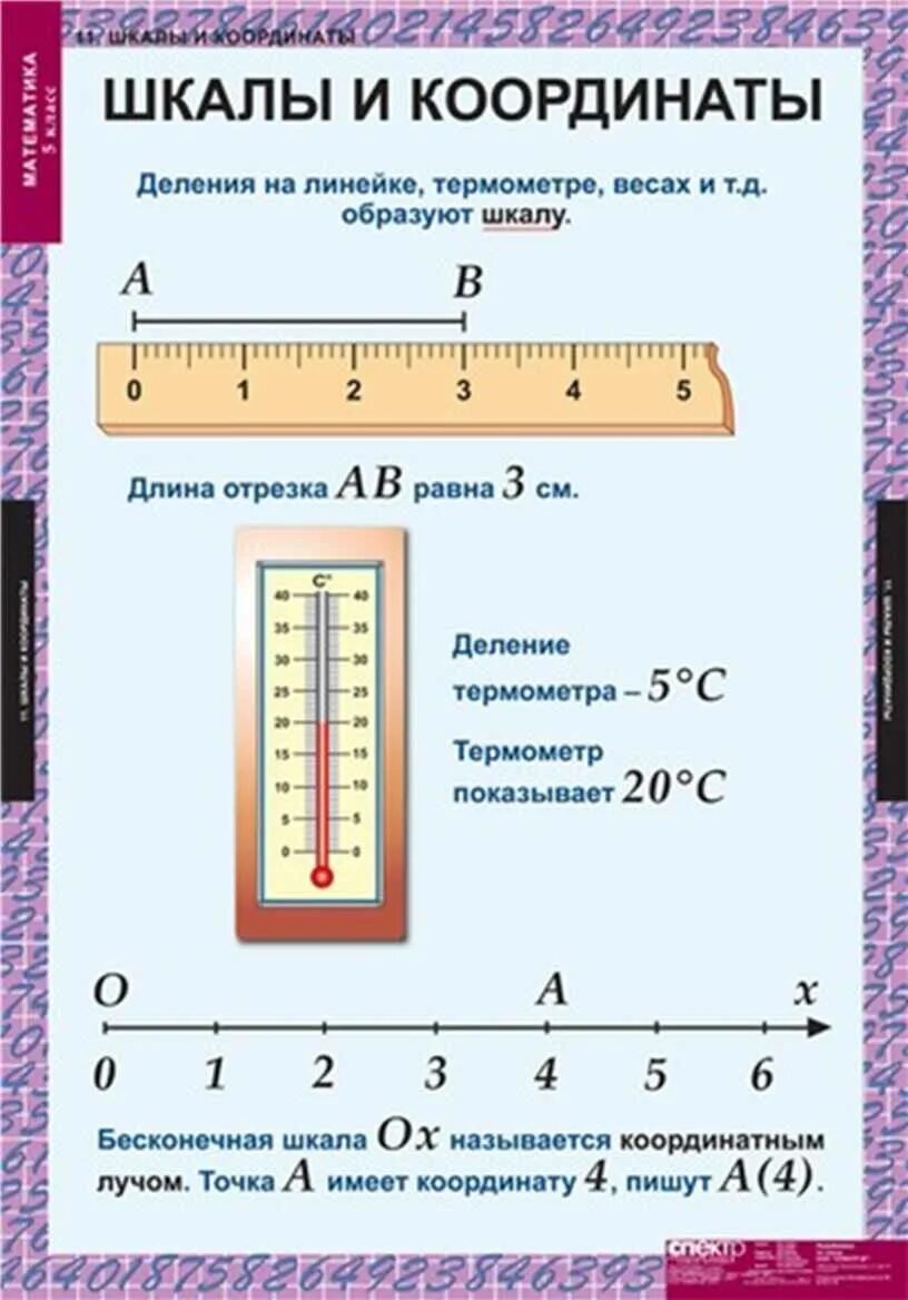 Координаты математика 5