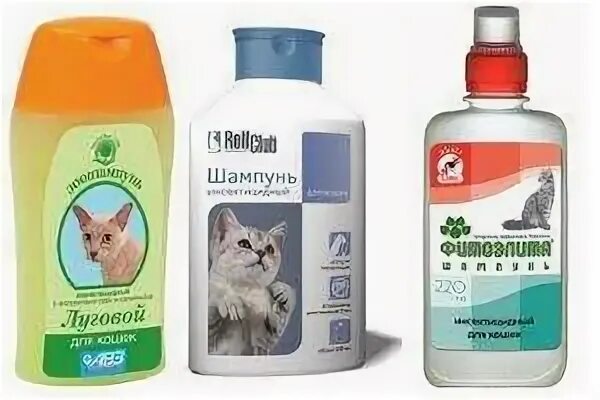 На каких кошек нет аллергии у человека. Шампунь от подкожного клеща для кошек. шампунь для кошек от аллергии у человека. шампуни для кошек против аллергии у человека. лечебный шампунь для кошек от аллергии.