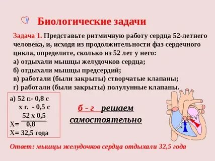 Задачи на работу сердца