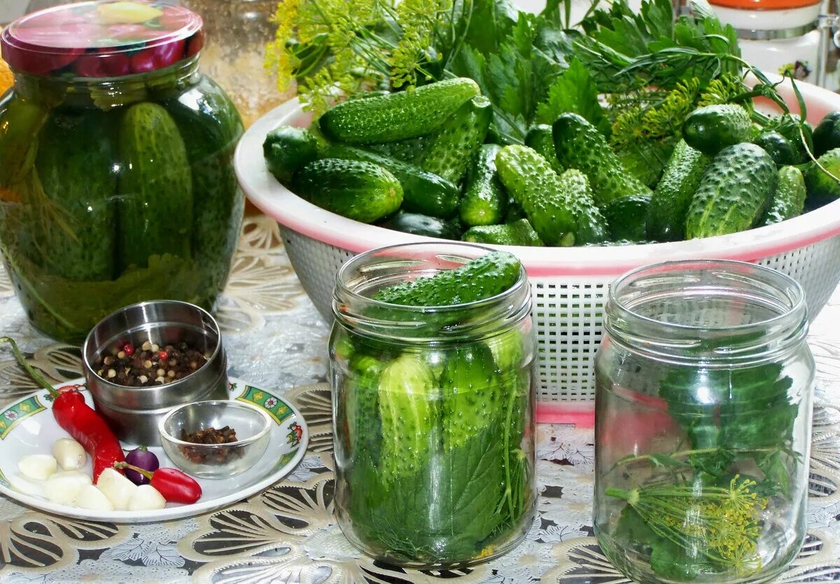 Малосольные огурцы банка. Посолить огурцов. Маринованные огурцы в банке. Посолить огурцов. Посолить огурцов.