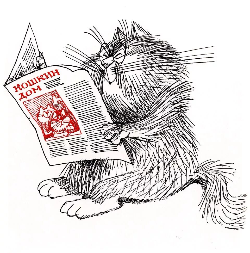 Cartoon cat reader