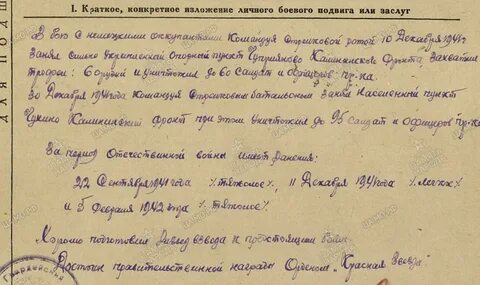 Шумилин ревизор читать полностью