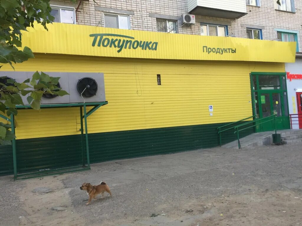 Продукты в камышине. Кофелавка камышин. Продукты в камышине. Металлургов 17 камышин на карте. Цветы на заправке лукойл.