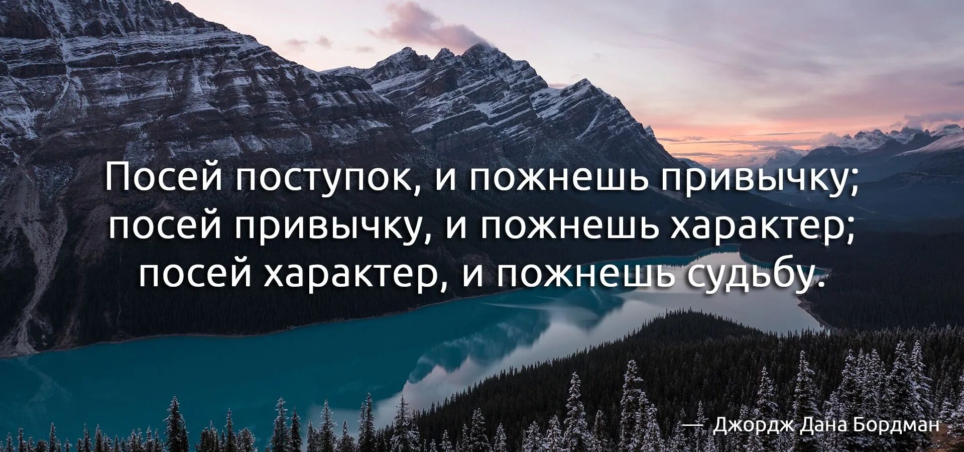 Посеешь мысль пожнешь. Посеешь поступок пожнешь привычку. посеешь характер пожнешь судьбу. посеешь мысль пожнешь поступок. посеешь привычку пожнешь характер.