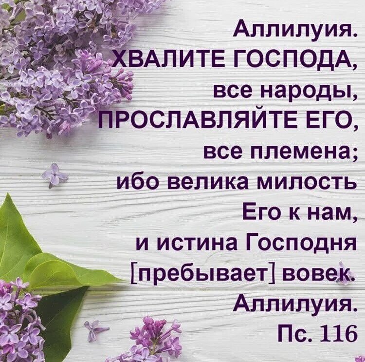 Хвалите Господа все народы. Хвалите Господа все народы прославляйте его. Хвалите Господа ибо Господь благ. Славлю тебя Господь. Пой душа господа