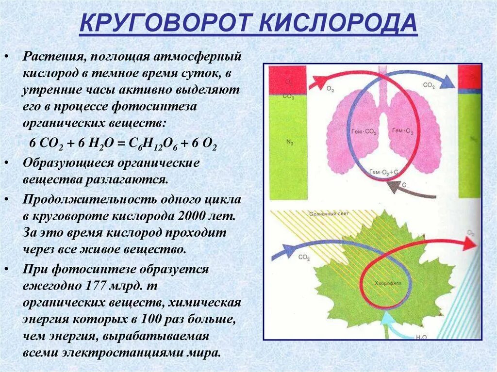 Круговорот кислорода процессы. Круговорот кислорода. Круговорот кислорода в природе схема. Круговорот кислорода в природе схема химия. Круговорот кислорода в природе.