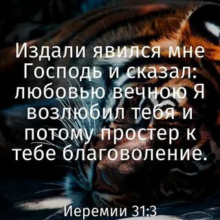 Что же касается меня господа то