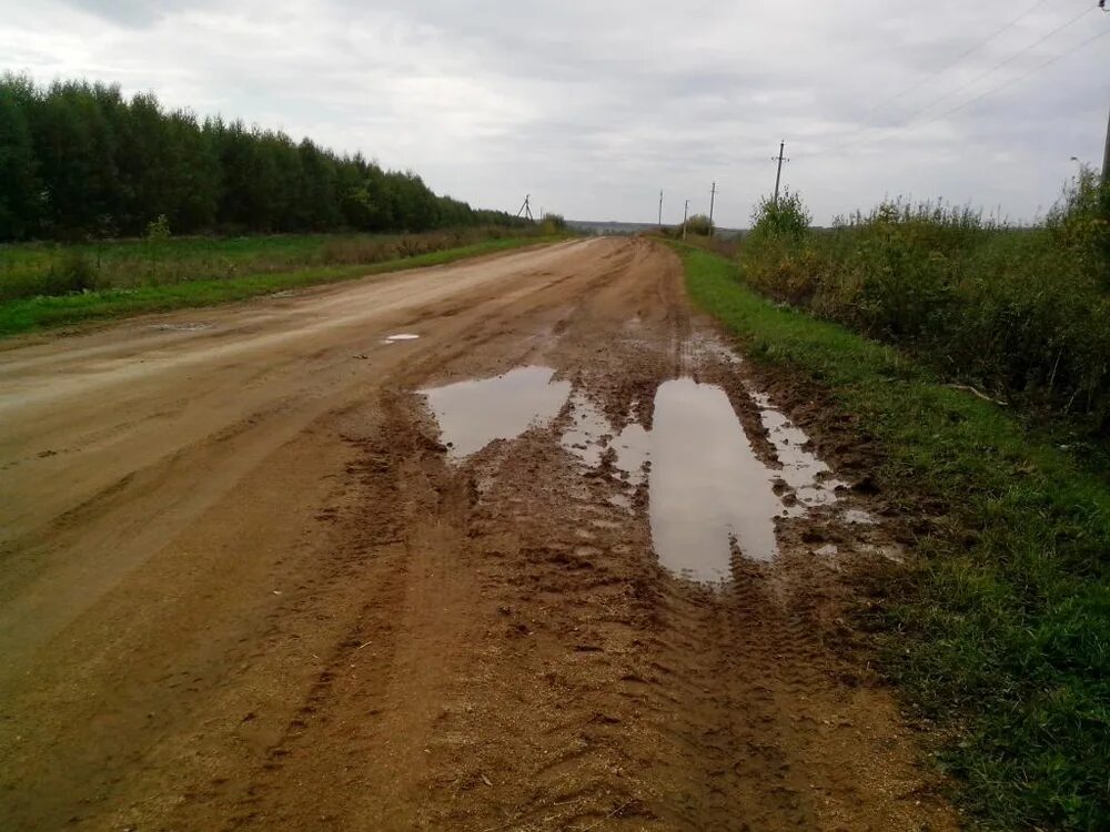 Дороги россии 6.44. Дорога на Савиново. Акутиха асфальт. Качество дорог в России дзен. Качество дороги в Здоровецкие Выселки.