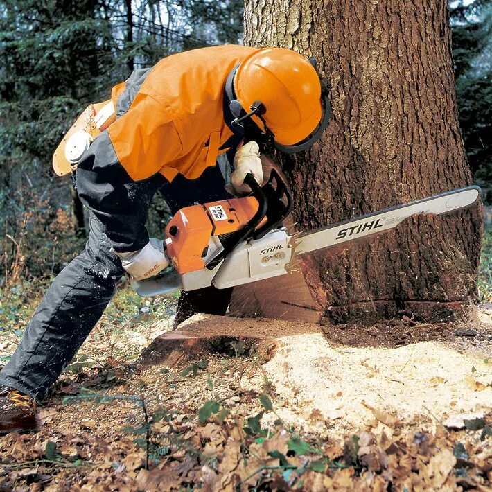 Пила для валки деревьев. Stihl ms 880. бензопила stihl ms 881. бензопила штиль мс 880. пила штиль 880.