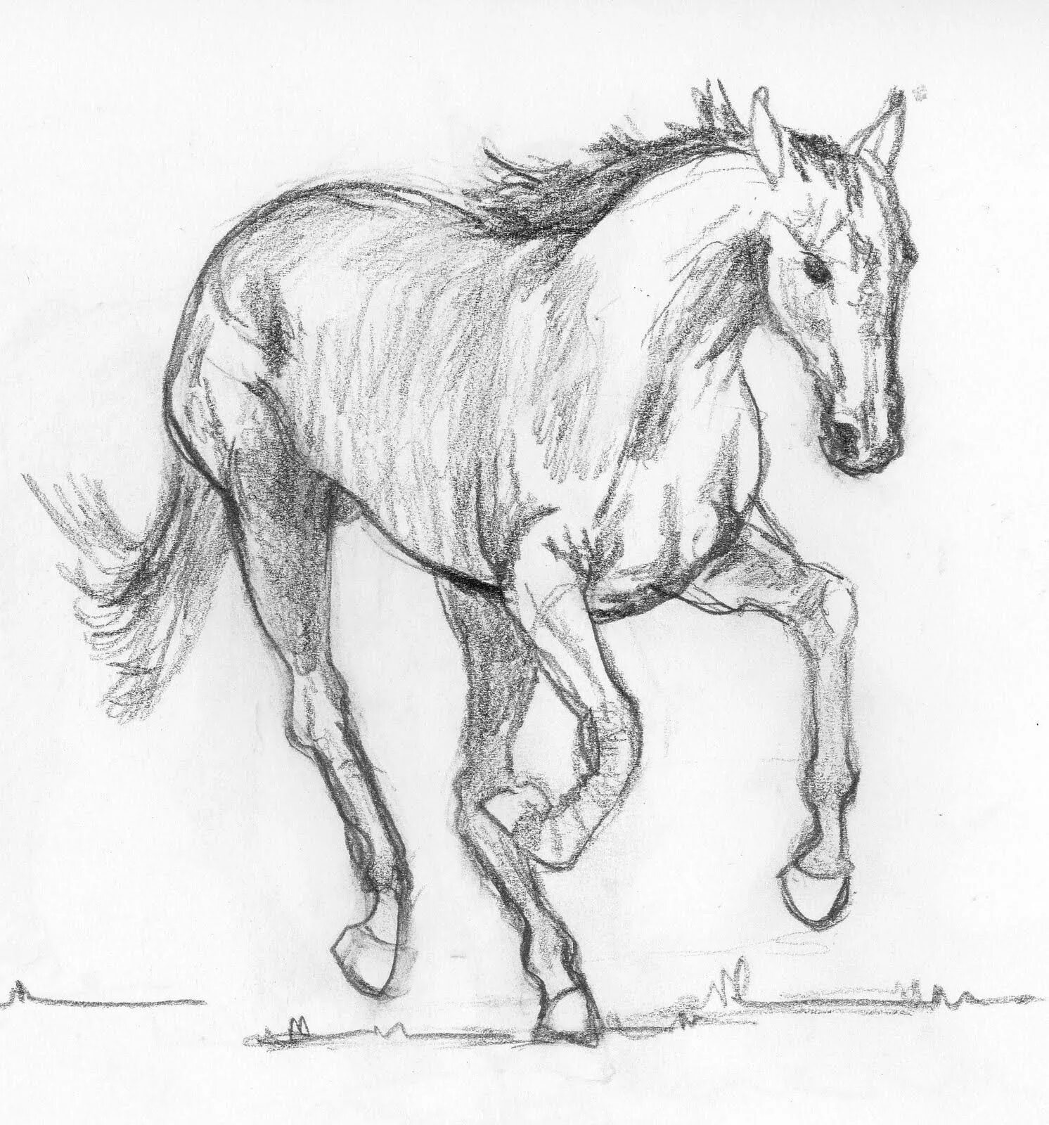 Карандашный набросок 5 букв сканворд. Наброски рисунков. Наброски животных. Зарисовки лошадей. Лошадь рисунок карандашом.