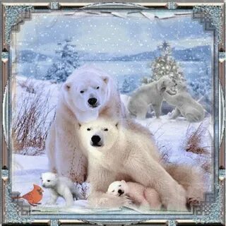 Белый медведь: Зороастрийский гороскоп I?id=1bad524279b99703ea0859f59570d5dc-5171197-images-thumbs&n=13