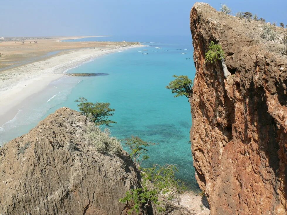 остров сокотра йемен. остров сокотра пейзажи. растения острова сокотра. сомали остров сокотра. сокотра хадибу.