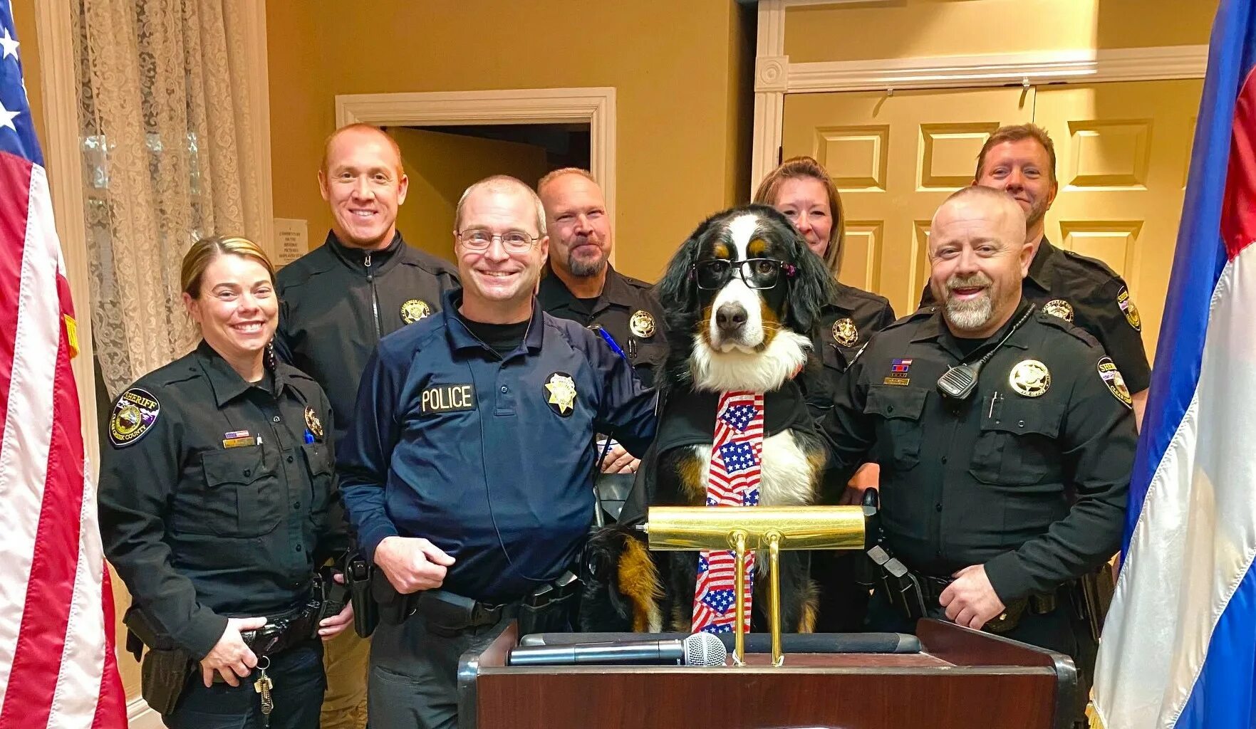 Пес дюк. Собака дюк мэр. Пёс герцог. Собаки в калифорнии. Мэр города собака дюк.