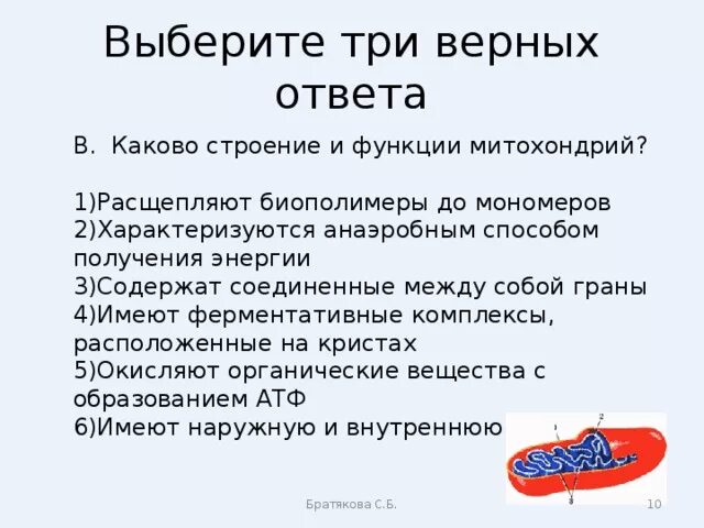 Расщепляет биополимеры. Каково строение и функции митохондрий. Каковы особенности строения митохондрий выберите три. Каково строение функции. В 1 каково строение и функции митохондрий.