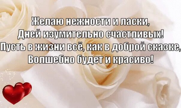 Спасибо за теплоту и ласку
