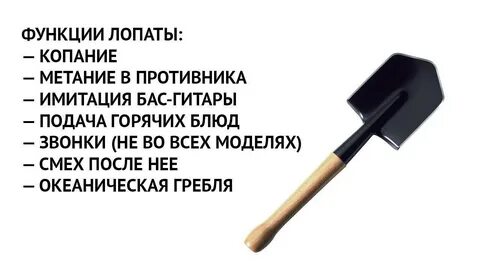 Сонник лопата